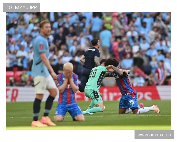 水晶宫足总杯表现稳健，竞争力持续提升