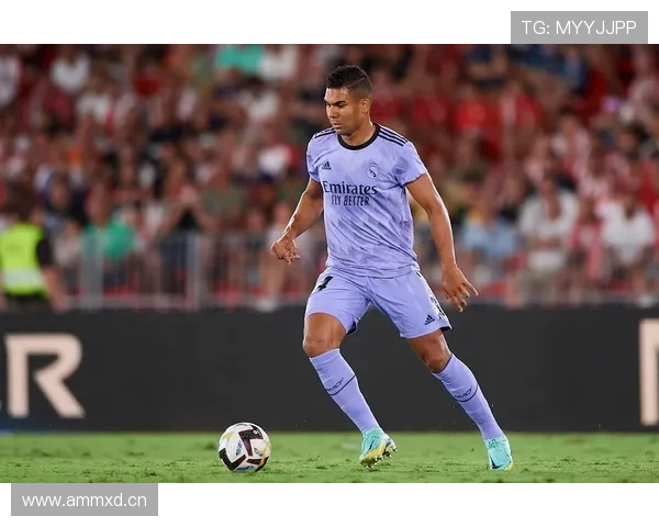 琼阿梅尼与卡塞米罗的后腰传承：防守结构与角色差异在哪