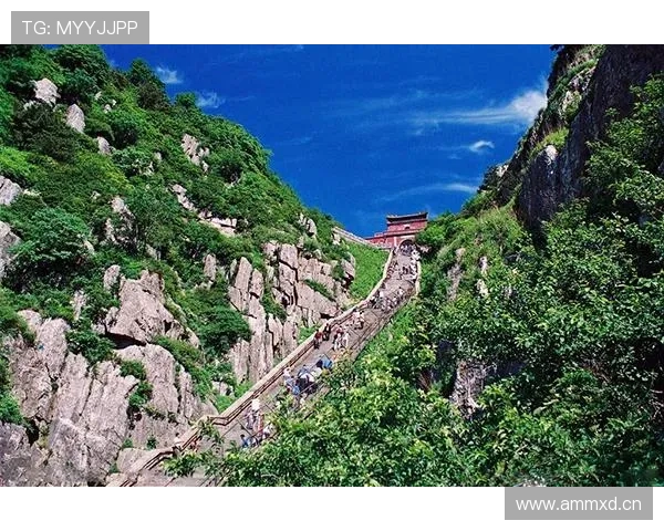 山东泰山豪门地位稳固性面临考验,近期表现波动引发竞争格局变化 山东泰山豪门地位稳固性面临考验,近期表现波动引发竞争格局变化