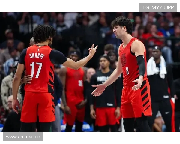 琼阿梅尼为何评价两极分化 核心分歧到底出在哪